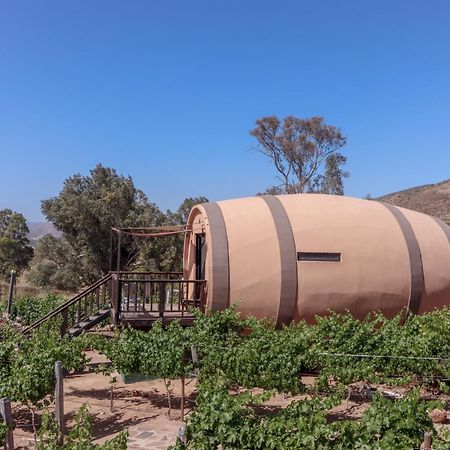 Finca El Mirador فالي دي جوادالوبي المظهر الخارجي الصورة