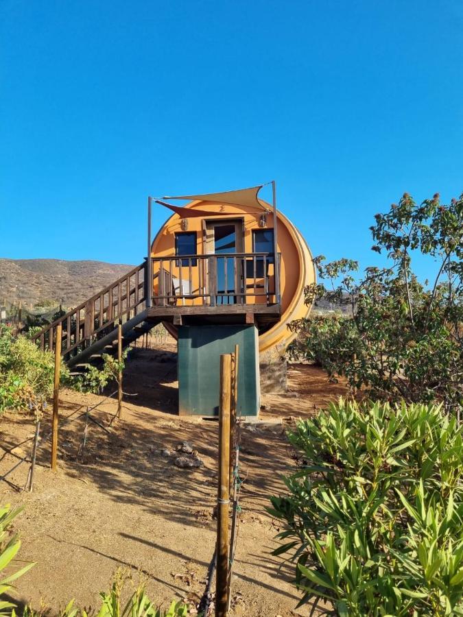 Finca El Mirador فالي دي جوادالوبي المظهر الخارجي الصورة