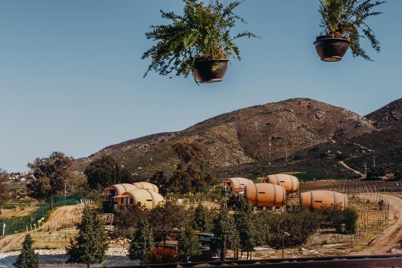 Finca El Mirador فالي دي جوادالوبي المظهر الخارجي الصورة