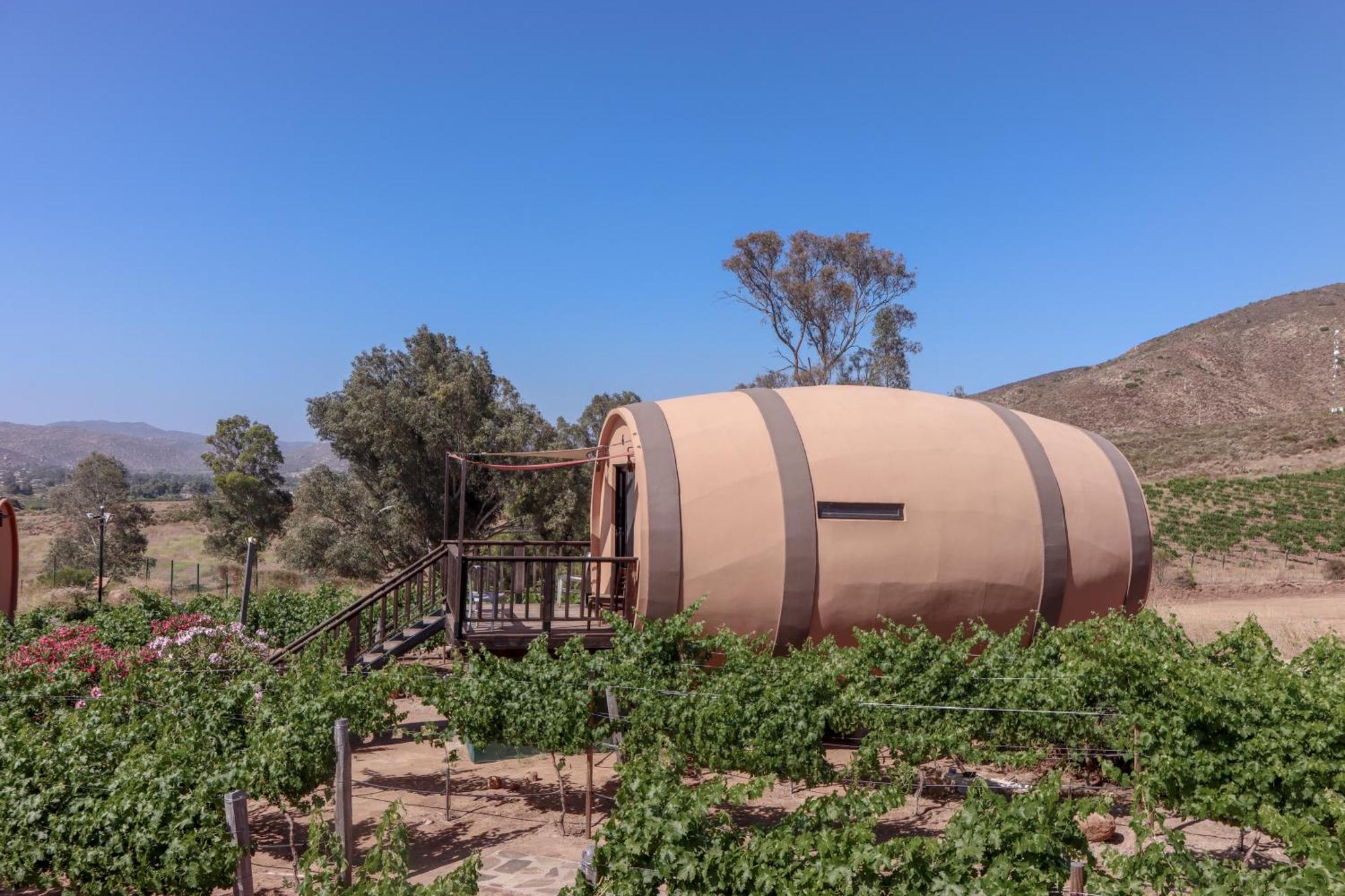 Finca El Mirador فالي دي جوادالوبي المظهر الخارجي الصورة