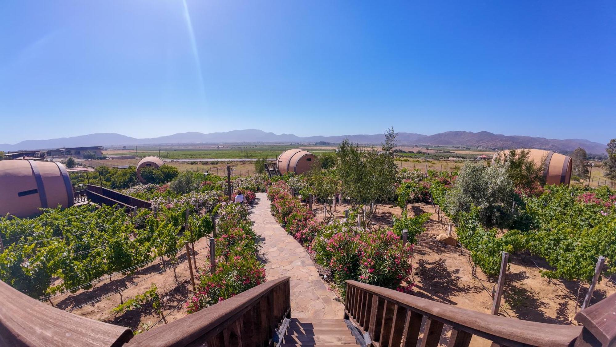 Finca El Mirador فالي دي جوادالوبي المظهر الخارجي الصورة