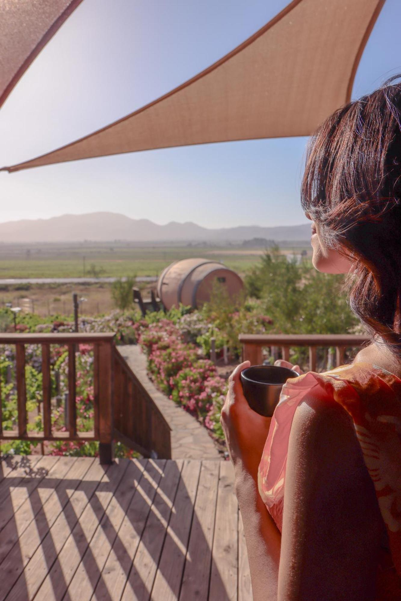 Finca El Mirador فالي دي جوادالوبي المظهر الخارجي الصورة